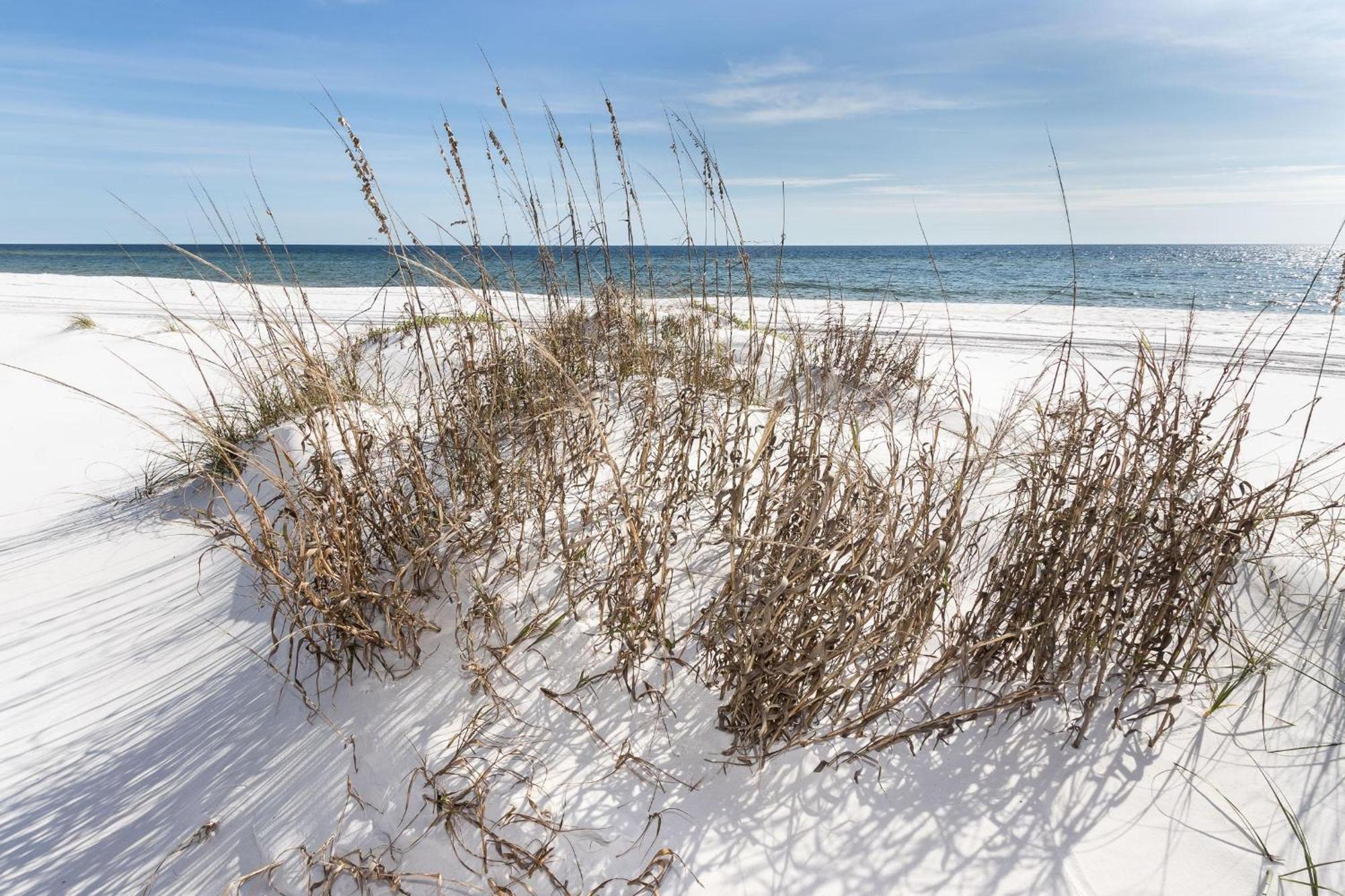 Nautilus Unit 2310 Villa Fort Walton Beach Kültér fotó